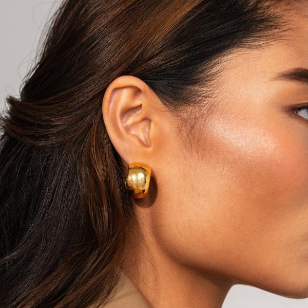 Puces d’Oreilles Dolce
