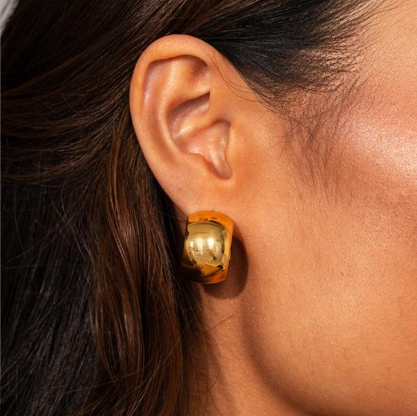 Puces d’Oreilles Dolce